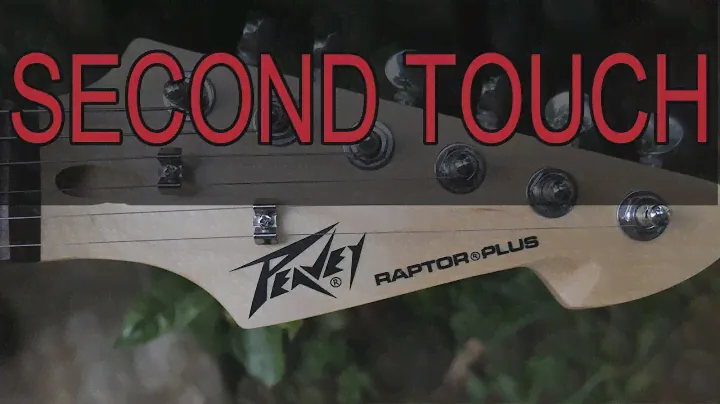 PEAVEY RAPTOR PLUS vs PEAVEY RAPTOR CUSTOM