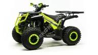 Квадроцикл Motoland RAPTOR 125 NEW