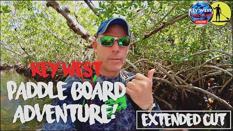 BEST Key West Paddle Board ADVENTURE!!!