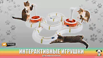 Интерактивные игрушки для кошек и котят · Ferplast
