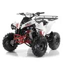 Квадроцикл MOTAX ATV Raptor Lux 125 cc Красно-белый