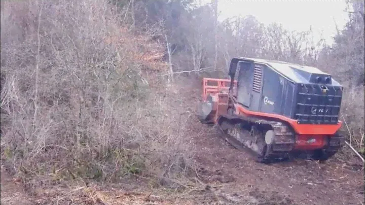 Мульчер Prinoth AHWI RAPTOR 800