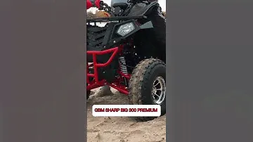 Квадроцикл GBM SHARP BIG 300 PREMIUM