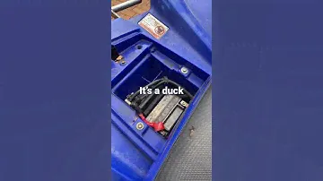 Yamaha Raptor Battery dead