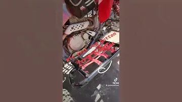 Painted the nerf bars