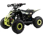 Квадроцикл Motoland VOX110 Raptor