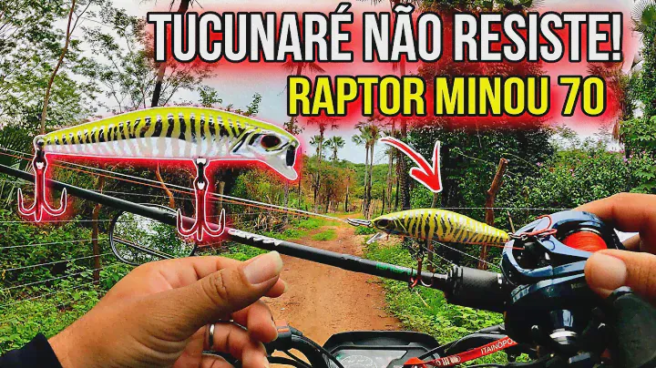 Isca raptor minow 70 da Marine sports - isca infalível