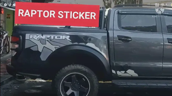 RAPTOR  DECAL STICKER INSTALLATION VINYL CUTTING