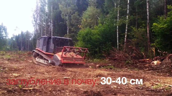 Мульчер Раптор 800  Raptor 800 AHWI Prinoth лесная техника