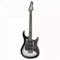 Raptor Custom SLB PEAVEY