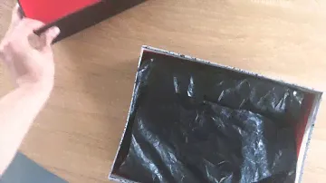 Unboxing Jordan 4 Raptor