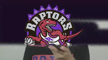 Jordan 4 NRG: Raptors