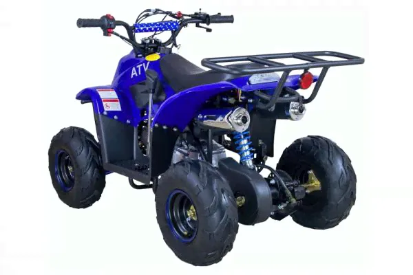 Квадроцикл Raptor 110 см3 «Синий»-2