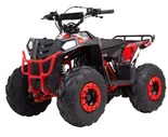 Квадроцикл RAPTOR 8 Raptor