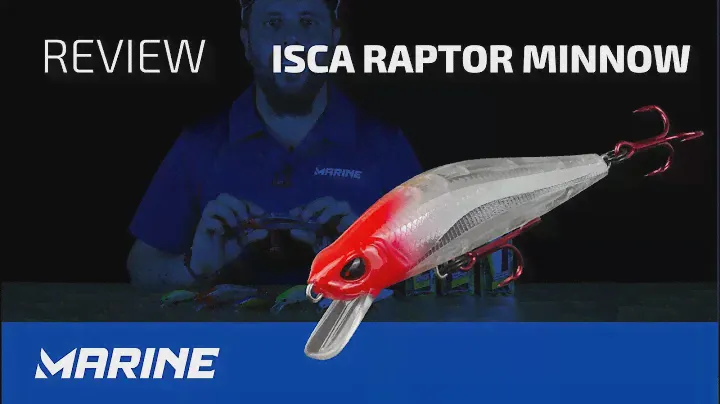 ISCA RAPTOR MINNOW REVIEW - MARINE