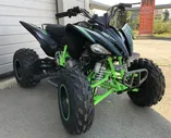 Квадроцикл PROMAX RAPTOR 320 Monster