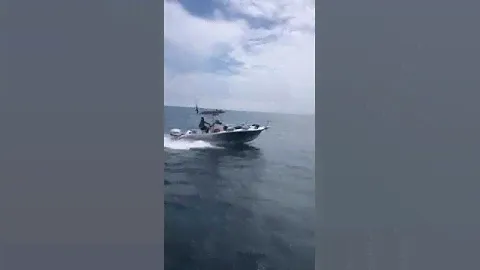 FISHING RAPTOR 240