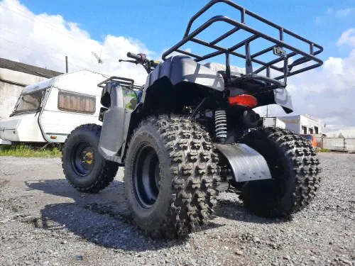 RAPTOR Raptor Квадроцикл RAPTOR ATV200U LUX ALL