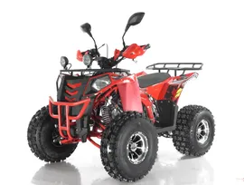 Квадроцикл RAPTOR MADMAN 200 - в г. Москва