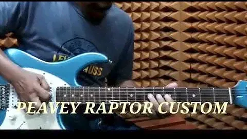 PEAVEY RAPTOR CUSTOM -MUZIK TUBE