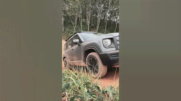 Новинка 2024 - Haval Raptor прибывает с совершенно новой атакой #Haval #Raptor