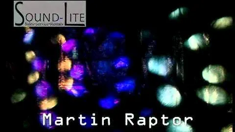 Martin Raptor.avi
