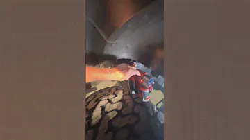 NEW 2024 FORD RAPTOR R!
