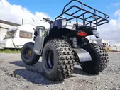 RAPTOR Raptor Квадроцикл RAPTOR ATV200U LUX ALL
