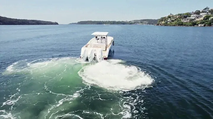Flagship International -  RAPTOR 390 SOLARIUM