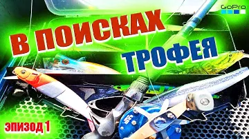 №72 В поисках трофея ❗ Рыбалка на крупные приманки ❗ Встретил местного рыбака ❗