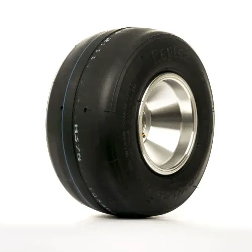 шина Maxxis RAPTOR 10X4.50-5