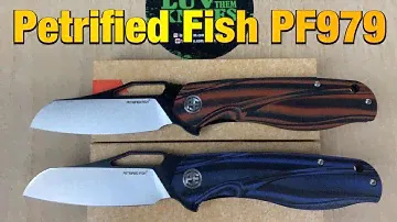 Petrified Fish PF979 Raptor/includes disassembly/ another great budget EDC offering from PF !!