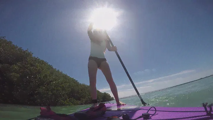 SUP Key West, Florida // Paddle Board