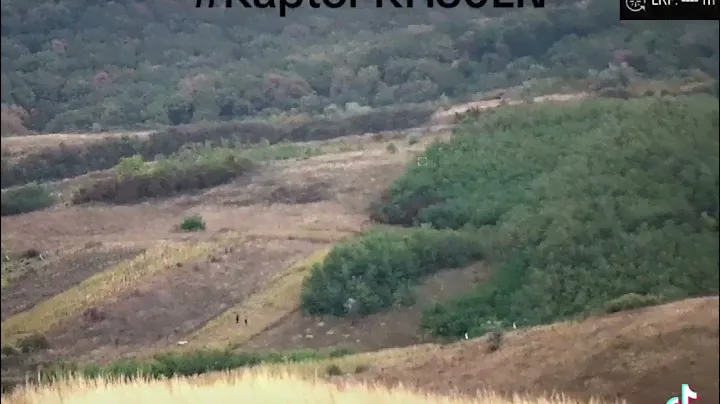 Hikmicro RAPTOR RH50LN