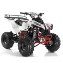 Квадроцикл MOTAX ATV Raptor Lux 125 cc Красно-белый