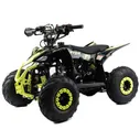 Квадроцикл Motoland 110 RAPTOR A (110 см³, для детей от 7 до 12 лет)