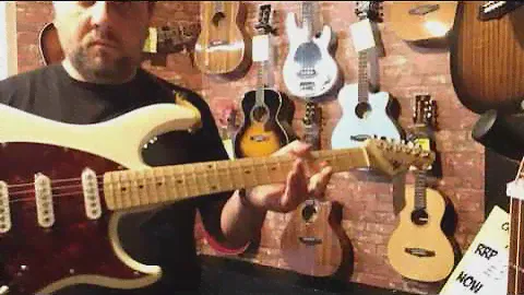 Peavey Raptor Electric Guitar Review