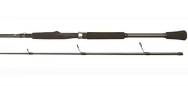 Спиннинг BFT Raptor G2 Pike Spin 8 до 100гр, 244см