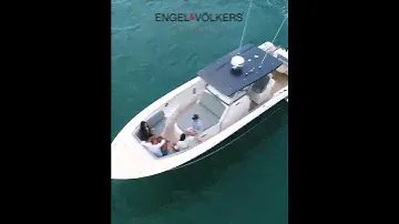 Fishing Raptor 390 Solarium PART 1