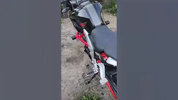 регулмото раптор