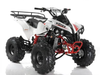 Квадроцикл Motax ATV Raptor LUX 125 сс в Москве-1